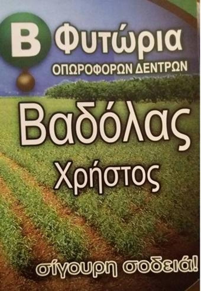 ΦΥΤΩΡΙΑ | ΝΑΟΥΣΑ ΗΜΑΘΙΑΣ | ΒΑΔΟΛΑ - greekcatalog.net