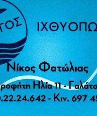 ΙΧΘΥΟΠΩΛΕΙΟ ΓΑΛΑΤΣΙ | ΑΜΟΡΓΟΣ