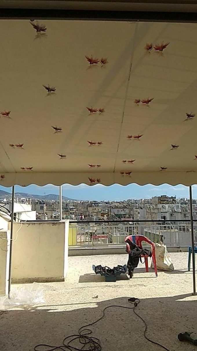 ΣΥΣΤΗΜΑΤΑ ΣΚΙΑΣΗΣ ΤΕΝΤΕΣ ΓΑΛΑΤΣΙ | ΜΠΑΝΗΣ ΑΛΕΞΗΣ --- greekcatalog.net