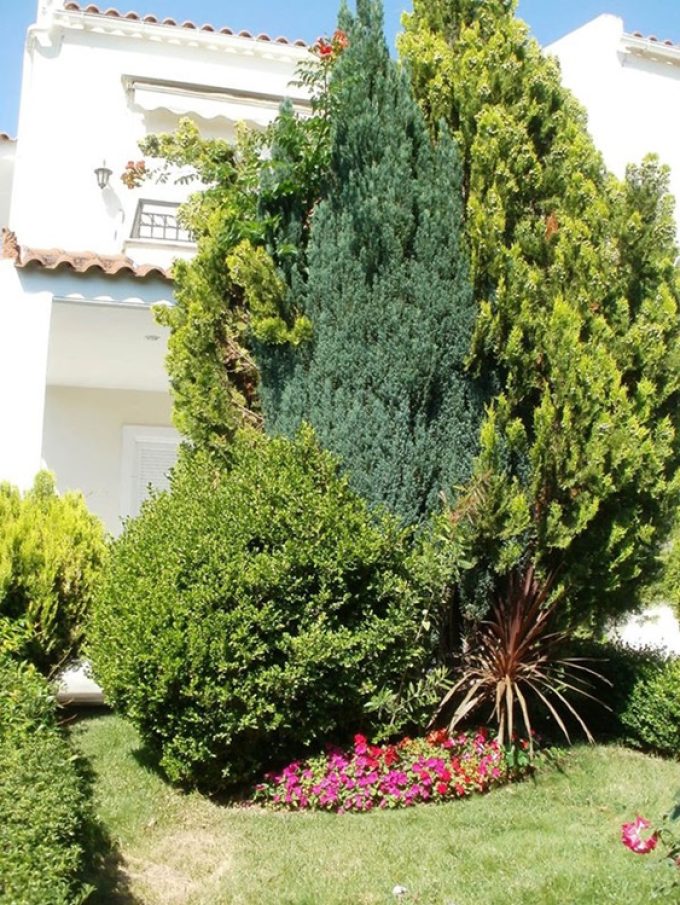 AGRONOMIST ACHARNES | KIPOARDEFTIKI GARDEN CONSTRUCTIONS - greekcatalog.net