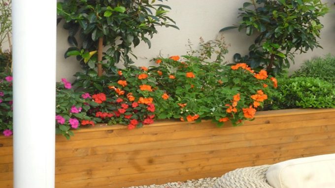 AGRONOMIST ACHARNES | KIPOARDEFTIKI GARDEN CONSTRUCTIONS - greekcatalog.net