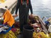 ΕΣΤΙΑΤΟΡΙΟ ΠΟΡΟΣ | GIA MAS - greekcatalog.net