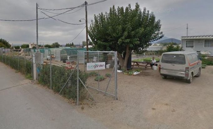 ΦΥΤΩΡΙΟ ΣΠΟΡΟΦΥΤΩΝ | ΑΓΙΟΣ ΝΙΚΟΛΑΟΣ ΜΠΟΥΡΤΖΙ ΧΑΛΚΙΔΑ ΕΥΒΟΙΑ | EVIA GARDEN - greekcatalog.net
