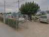 ΦΥΤΩΡΙΟ ΣΠΟΡΟΦΥΤΩΝ | ΑΓΙΟΣ ΝΙΚΟΛΑΟΣ ΜΠΟΥΡΤΖΙ ΧΑΛΚΙΔΑ ΕΥΒΟΙΑ | EVIA GARDEN - greekcatalog.net