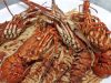Taverna Restaurant | Pera Gialos Astypalea Dodecanese | Akrogiali - greekcatalog.net