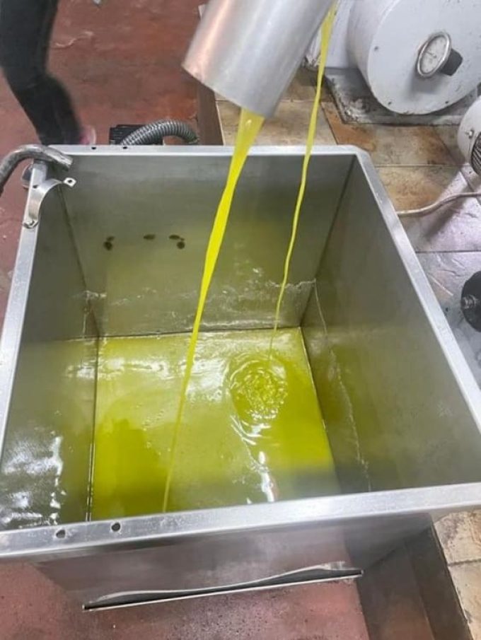 ΕΛΑΙΟΤΡΙΒΕΙΟ ΒΑΣΙΛΙΚΟ ΕΥΒΟΙΑΣ | ΚΟΝΤΟΥ --- greekcatalog.net