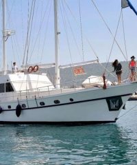 ΗΜΕΡΗΣΙΕΣ ΕΚΔΡΟΜΕΣ ΑΠΟ ΜΥΚΟΝΟ | GREECE SAILING SAIL CRUISES