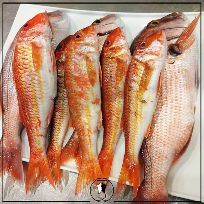 ΤΑΒΕΡΝΑ-ΕΣΤΙΑΤΟΡΙΟ ΣΑΛΑΜΙΝΑ-ΨΙΘΥΡΟΙ ΓΕΥΣΕΩΝ---greekcatalog.net