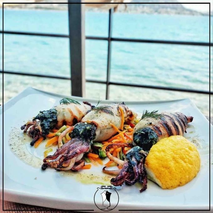 ΤΑΒΕΡΝΑ-ΕΣΤΙΑΤΟΡΙΟ ΣΑΛΑΜΙΝΑ-ΨΙΘΥΡΟΙ ΓΕΥΣΕΩΝ---greekcatalog.net