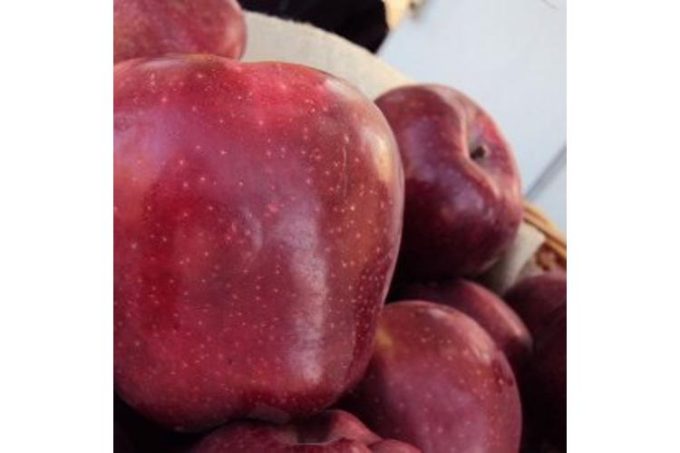 Αγροτικός Συνεταιρισμός-Άγρα Πέλλα-Αγροτικός Συνεταιρισμός Άγρας-greekcatalog.net