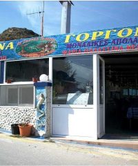 ΕΣΤΙΑΤΟΡΙΟ-ΨΑΡΟΤΑΒΕΡΝΑ | ΣΤΕΓΝΑ ΓΟΡΓΟΝΑ | ΑΡΧΑΓΓΕΛΟΣ ΡΟΔΟΣ