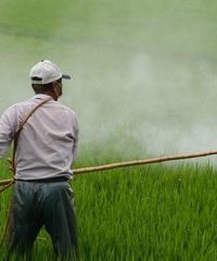 Agricultural Products | Lefkada | Geotechniki Sklaveniti Demeter