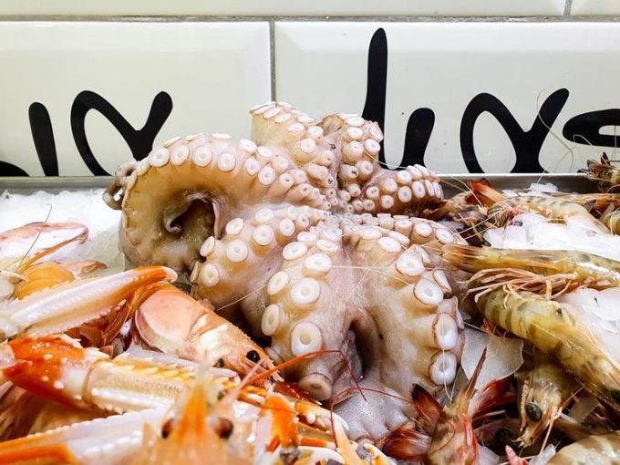 ΙΧΘΥΟΠΩΛΕΙΟ ΛΑΡΙΣΑ | ΨΑΡΟΠΟΥΛΑ Α.Ε. - GREEKCATALOG.NET