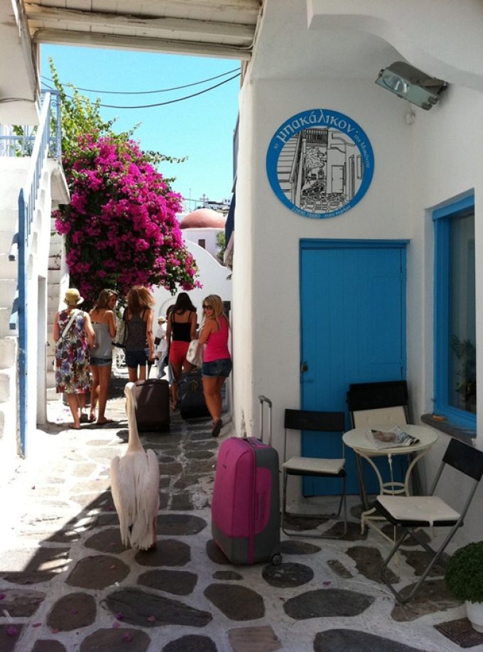 ΜΙΝΙ ΜΑΡΚΕΤ ΜΥΚΟΝΟΣ ΧΩΡΑ | ΤΟ ΜΠΑΚΑΛΙΚΟN ΤΗΣ ΜΥΚΟΝΟΥ - greekcatalog.net