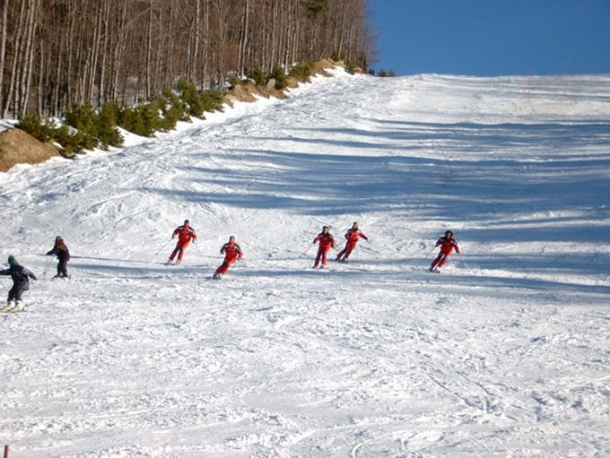 ΧΙΟΝΟΔΡΟΜΙΚΟ ΚΕΝΤΡΟ ΕΛΑΤΟΧΩΡΙ ΚΑΤΕΡΙΝΗΣ | ΧΙΟΝΟΔΡΟΜΙΚΟ ΚΕΝΤΡΟ ΕΛΑΤΟΧΩΡΙΟΥ