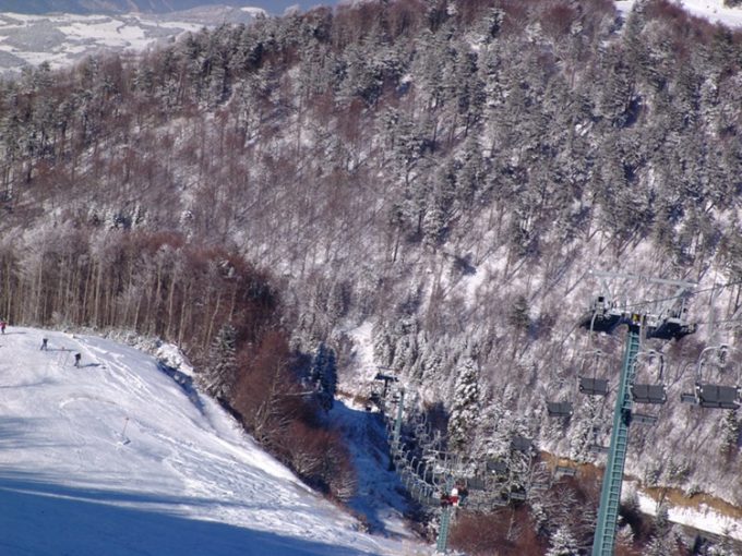 ΧΙΟΝΟΔΡΟΜΙΚΟ ΚΕΝΤΡΟ ΕΛΑΤΟΧΩΡΙ ΚΑΤΕΡΙΝΗΣ | ΧΙΟΝΟΔΡΟΜΙΚΟ ΚΕΝΤΡΟ ΕΛΑΤΟΧΩΡΙΟΥ - greekcatalog.net