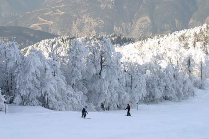 ΧΙΟΝΟΔΡΟΜΙΚΟ ΚΕΝΤΡΟ ΕΛΑΤΟΧΩΡΙ ΚΑΤΕΡΙΝΗΣ | ΧΙΟΝΟΔΡΟΜΙΚΟ ΚΕΝΤΡΟ ΕΛΑΤΟΧΩΡΙΟΥ - greekcatalog.net