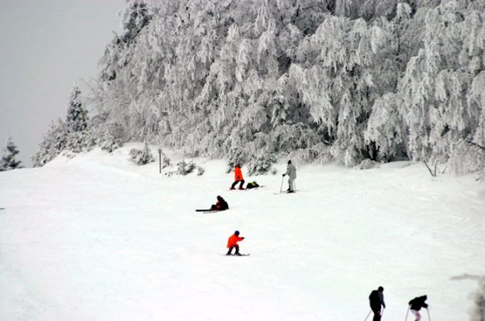 ΧΙΟΝΟΔΡΟΜΙΚΟ ΚΕΝΤΡΟ ΕΛΑΤΟΧΩΡΙ ΚΑΤΕΡΙΝΗΣ | ΧΙΟΝΟΔΡΟΜΙΚΟ ΚΕΝΤΡΟ ΕΛΑΤΟΧΩΡΙΟΥ - greekcatalog.net