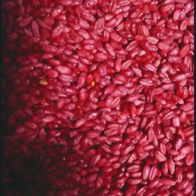 ΕΜΠΟΡΙΟ ΓΕΩΡΓΙΚΩΝ ΦΑΡΜΑΚΩΝ ΧΟΝΔΡΙΚΗ | FOTOPHARM - GREEKCATALOG.NET