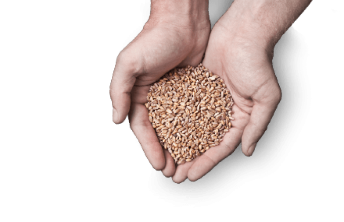 ΕΜΠΟΡΙΟ ΖΩΟΤΡΟΦΩΝ | ΖΗΣΗΣ | ΣΕΡΡΕΣ