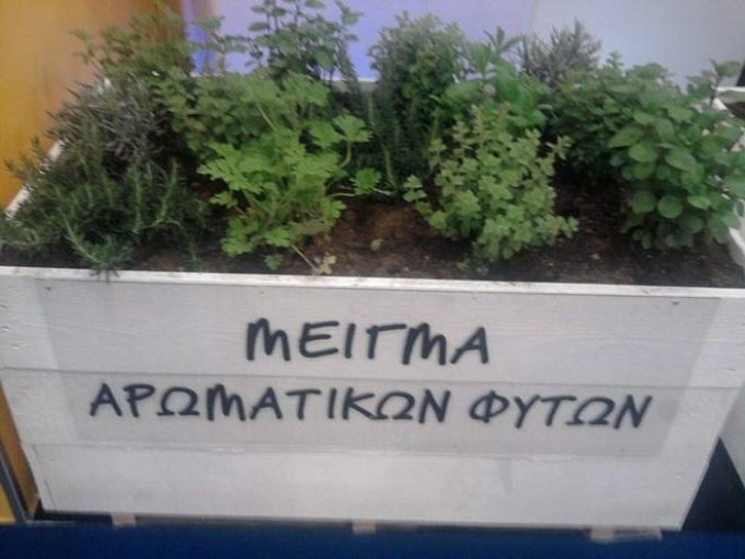 ΦΥΤΩΡΙΟ ΣΠΟΡΟΦΥΤΩΝ | ΑΓΙΟΣ ΝΙΚΟΛΑΟΣ ΜΠΟΥΡΤΖΙ ΧΑΛΚΙΔΑ ΕΥΒΟΙΑ | EVIA GARDEN - greekcatalog.net