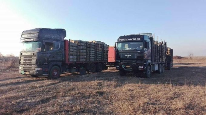 ΧΟΝΔΡΙΚΟ ΕΜΠΟΡΙΟ ΞΥΛΕΙΑΣ | ΝΕΟΧΩΡΙ ΣΕΡΡΕΣ | ΤΣΟΛΑΚΙΔΗΣ ΠΑΥΛΟΣ