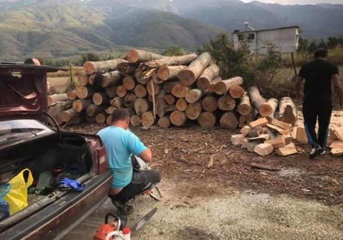 ΧΟΝΔΡΙΚΟ ΕΜΠΟΡΙΟ ΞΥΛΕΙΑΣ | ΝΕΟΧΩΡΙ ΣΕΡΡΕΣ | ΤΣΟΛΑΚΙΔΗΣ ΠΑΥΛΟΣ - greekcatalog.net