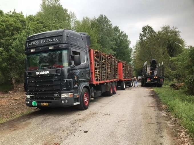 ΧΟΝΔΡΙΚΟ ΕΜΠΟΡΙΟ ΞΥΛΕΙΑΣ | ΝΕΟΧΩΡΙ ΣΕΡΡΕΣ | ΤΣΟΛΑΚΙΔΗΣ ΠΑΥΛΟΣ - greekcatalog.net