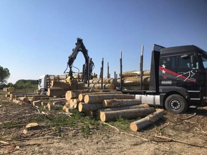 ΧΟΝΔΡΙΚΟ ΕΜΠΟΡΙΟ ΞΥΛΕΙΑΣ | ΝΕΟΧΩΡΙ ΣΕΡΡΕΣ | ΤΣΟΛΑΚΙΔΗΣ ΠΑΥΛΟΣ - greekcatalog.net