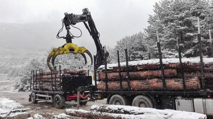 ΧΟΝΔΡΙΚΟ ΕΜΠΟΡΙΟ ΞΥΛΕΙΑΣ | ΝΕΟΧΩΡΙ ΣΕΡΡΕΣ | ΤΣΟΛΑΚΙΔΗΣ ΠΑΥΛΟΣ - greekcatalog.net