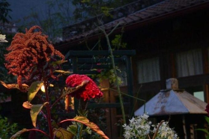 Εστιατόριο–Καφέ Μπαρ Νερόμυλος στο Λιτόχωρο Πιερίας. Αναλαμβάνουμε κάθε είδους εκδηλώσεις: βαπτίσεις, γάμους, επαγγελματικές συνεστιάσεις. Μαγειρευτά, Σούπες, Ψητά Σχάρας, Τσιπουρομεζέδες  Hot Dog, Χειροποίητα γλυκά του κουταλιού, Παραδοσιακές πίτες. Σαββατοκύριακα σούβλες-Όλα της ώρας-greekcatalog.net