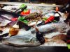 ΕΣΤΙΑΤΟΡΙΟ ΠΟΡΟΣ | GIA MAS - greekcatalog.net
