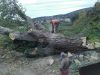 ΧΟΝΔΡΙΚΟ ΕΜΠΟΡΙΟ ΞΥΛΕΙΑΣ | ΝΕΟΧΩΡΙ ΣΕΡΡΕΣ | ΤΣΟΛΑΚΙΔΗΣ ΠΑΥΛΟΣ - greekcatalog.net
