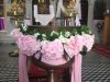 ΑΝΘΟΠΩΛΕΙΟ ΣΤΟΛΙΣΜΟΙ ΓΑΜΩΝ ΒΑΦΤΙΣΕΩΝ | ΒΑΘΥ ΙΘΑΚΗ | ΦΥΤΟΚΟΣΜΟΣ - greekcatalog.net