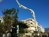 ΕΤΟΙΜΟ ΣΚΥΡΟΔΕΜΑ–ΜΠΕΤΟΝ ΠΕΤΑΛΙΔΙ ΜΕΣΣΗΝΙΑΣ | ΝΕΣΤΩΡ ΜΠΕΤΟΝ - greekcatalog.net