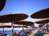 ΘΑΛΑΣΣΙΑ ΣΠΟΡ BEACH BAR | ΝΕΟΙ ΠΟΡΟΙ ΠΛΑΤΑΜΩΝΑΣ | WATERSPORTS BEACH BAR ALEXANDRI PARADISE - greekcatalog.net