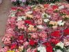 Flower Shop Wedding Baptism Events | Loutraki Corinthia | Anthorama - greekcatalog.net