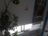 Foreign Language Centers & Information Technology | Xanthi Center Thraki | Educational Centers Chatzistefanou - greekcatalog.net