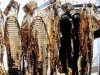 ΒΙΟΤΕΧΝΙΑ ΤΥΠΩΜΑΤΩΝ ΚΑΙ ΚΕΝΤΗΜΑΤΩΝ ΠΕΡΙΣΤΕΡΙ | KOLOKOTRONI LUXURIOUS PRINTS & EMBROIDERY-greekcatalog.net