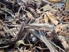 ΑΝΑΚΥΚΛΩΣΗ ΜΕΤΑΛΩΝ SCRAP ΙΩΑΝΝΙΝΑ | ΚΟΥΤΡΟΛΟΣ ΙΩΑΝΝΗΣ---greekcatalog.net