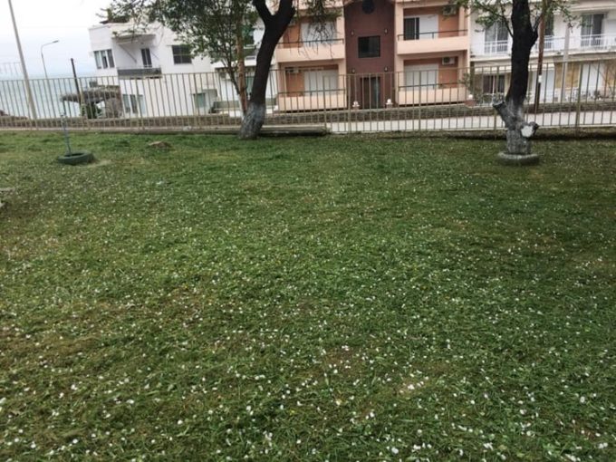 ΚΑΤΑΣΚΕΥΗ ΣΥΝΤΗΡΗΣΗ ΚΗΠΩΝ ΚΟΠΗ ΚΛΑΔΕΜΑ ΥΨΗΛΩΝ ΔΕΝΤΡΩΝ ΚΟΜΟΤΗΝΗ | ΕΠΙΣΚΕΠΤΗΣ ΙΩΑΝΝΗΣ --- greekcatalog.net