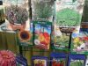 ΑΝΘΟΠΩΛΕΙΟ ΣΤΟΛΙΣΜΟΙ ΓΑΜΩΝ ΒΑΦΤΙΣΕΩΝ | ΒΑΘΥ ΙΘΑΚΗ | ΦΥΤΟΚΟΣΜΟΣ - greekcatalog.net